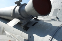 SDC16455