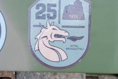 Leo2A4HUPMTata202000013