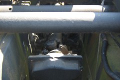 IMG_3550