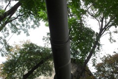 SDC13336