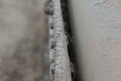 DSC_1723_resize